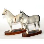 Beswick Welsh Mountain Stallion 'Gredington Simwnt', Connoisseur model No. 2541A, light grey matt