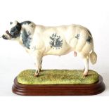 Border Fine Arts 'Belgian Blue Bull', style one, model No. B0406 by Ray Ayres, limited edition 885/