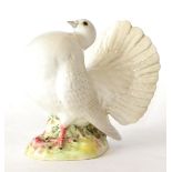 Beswick Fantail Pigeon, model No. 1614, white gloss