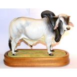 Royal Worcester Brahman Bull ''J.D.H. De Ellary Manso'', model No. RW3821 by Doris Lindner,