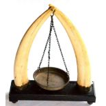 A Pair of Mounted Walrus Tusks, circa 1880, supporting three chains and a brass scale pan, the tusks