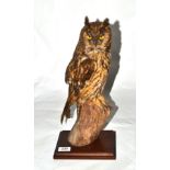 Long-Eared Owl (Asio otus), by Brian Lancaster, circa 1972, perched on an upturned cut branch