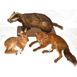 Roe Deer (Capreolus capreolus), modern, fawn full mount, 23cm long; Recumbent Fox, full mount; and