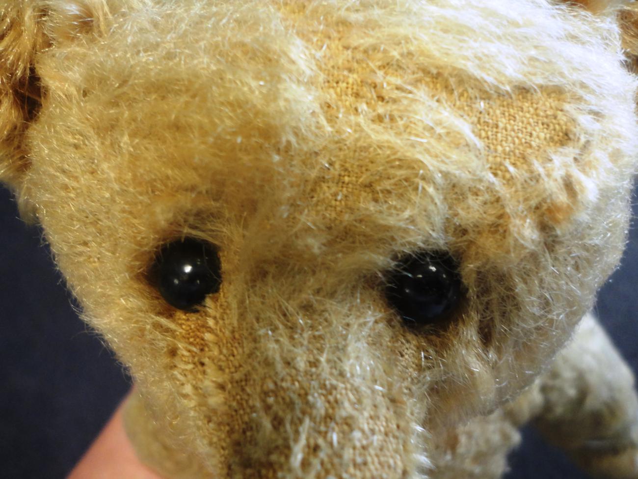 Early 20th Century Steiff Teddy Bear, with button to right ear, black boot button eyes, stitched - Image 2 of 9