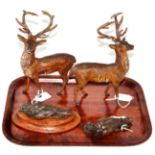 Pair of cold painted spelter stags and a pair of bronze birds (one on an oak plaque)