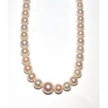 A cultured pearl single row necklace with 9ct gold snap