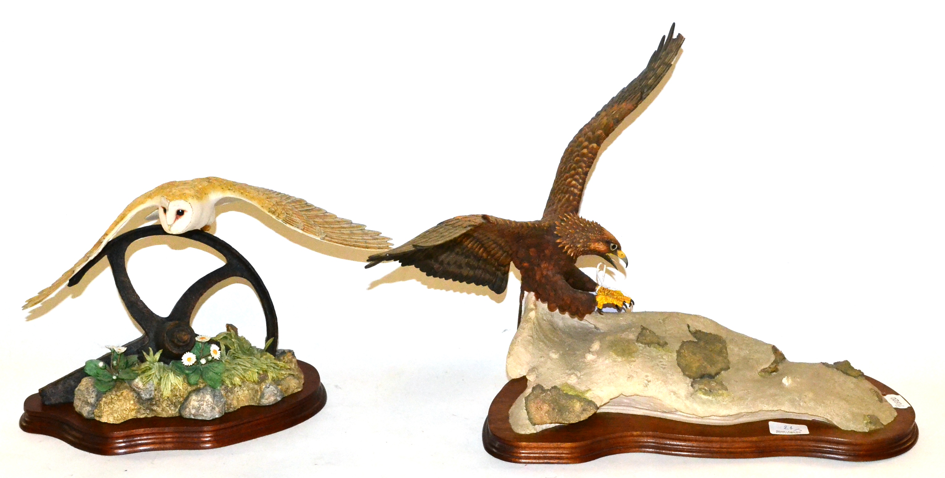 Border Fine Arts 'Evening Flight' (Barn Owl in Flight), model No. L107 by Ray Ayres, limited edition