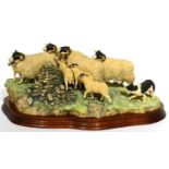 Border Fine Arts 'Gathering In The Strays' (Sheep and Collie), model No. JH28 by Ray Ayres,