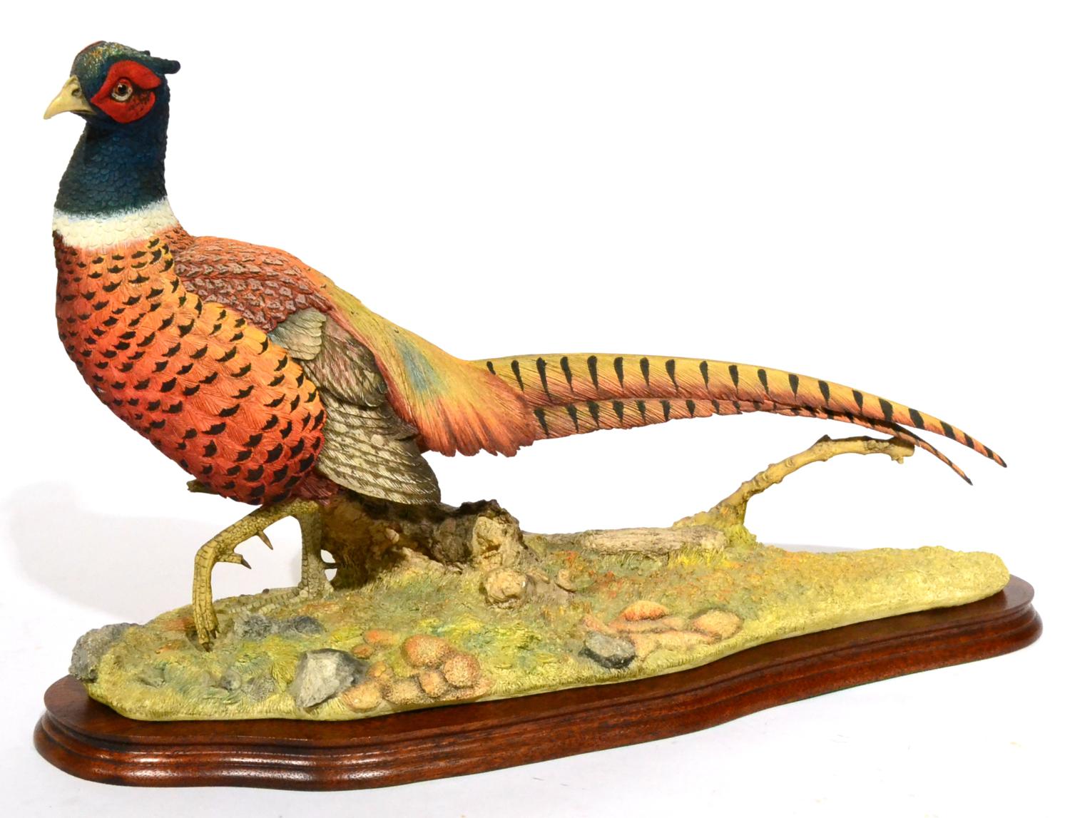 Border Fine Arts 'Autumn Glory' (Pheasant), Millennium model No. B0488 by Russell Willis, limited