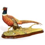 Border Fine Arts 'Autumn Glory' (Pheasant), Millennium model No. B0488 by Russell Willis, limited