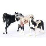 Beswick Horses comprising: 'Pinto Pony', model No. 1373, Piebald matt, 'Appaloosa Stallion', model