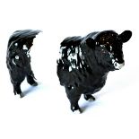 Beswick 'Galloway Bull - Belted', model No.1746B, black and white gloss  Good condition 280515