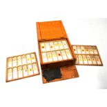 Prepared Microscope Slide a collection of 11 tray containing 12 examples each and a 12th tray with