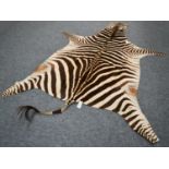 Burchell's Zebra (Equus quagga), late 20th century, skin rug, 253cm long (excluding tail bristles)