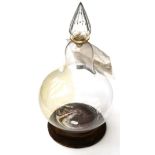 Chemist Glass Carboy of lightbulb form with glass stopper on wooden base, used as display containing