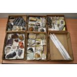 Six Cardboard Boxes Containing World Minerals and Fossils, including Orthoceras (Morocco),