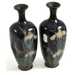 Pair of Japanese cloisonne enamel vases decorated with flag iris (one damaged), 25cm high One very