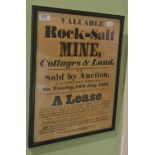 Framed 19th century poster advertising ''Valuable Rock Salt Mine, Cottages and Land''