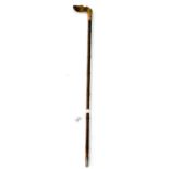 A Horn Handled Hoof Walking Stick, with bamboo shaft and gilt metal collar