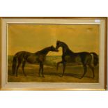 English School 19th Century, after J J Herring - Thoroughbred Stallions - Sir Hercules and Beeswing,