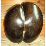 Large 19th c Seychelles double-sided Coco de Mer (Lodoices Maldivica) having polished dark