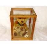 Steiff bear - a glazed display case cont