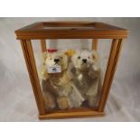 Steiff bears - a glazed display case con