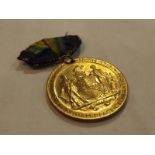A World War One (WWI) medallion marked T