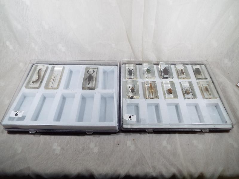 A collection of specimens set in acrylic