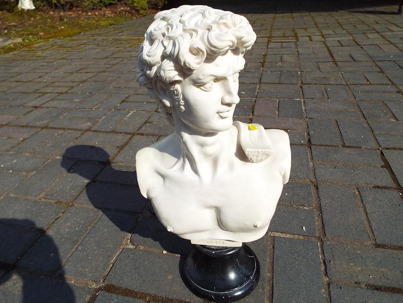 A Greek style bust depicting David mount