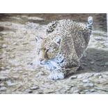 Stephen Gayford - A colour print issued in a limited edition entitled Silent Approach, signed in