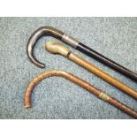 A gentleman's horn handled ebony walking stick with a white metal collar,