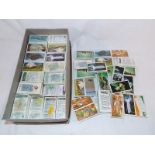 Tea cards - a quantity of Brooke Bond PG Tips sets of collectable cards in transparent sleeves to