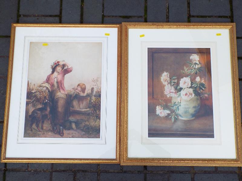 Two good framed prints, mounted under gl