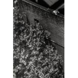 Andre Kertesz (1894-1985) Signed and numbered 23/75  Silver gelatin print, printed 1970s 9 1/2 x 6