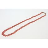 A 19th Century Graduated Coral Bead Necklace. 160mm long. Mid colour. 16.8 grams.   Good condition