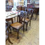 Set of four Chippendale style mahogany dining chairs on ball and claw legs