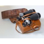 Cartridge belt and Regent binoculars