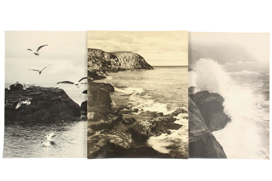 WARNER TAYLOR (ME, 1880-1958) - (16) Matte Black & White Gelatin Photos of the Coastline, Monhegan