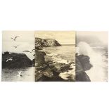 WARNER TAYLOR (ME, 1880-1958) - (16) Matte Black & White Gelatin Photos of the Coastline, Monhegan