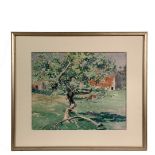 WILL ROWLAND DAVIS (MA/ME. 1879-1944) - "The Apple Tree", watercolor on Arches paper, signed lower