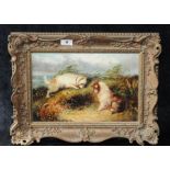 GEORGE ARMFIELD. 
Pair of terriers at a rabbit hole.
Oil on board.
7¾" x 11". Signed.