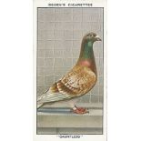 OGDENS, Racing Pigeons, complete, G to VG, 50