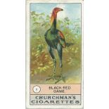 CHURCHMANS, Dogs & Fowls, complete, some corner knocks, FR to VG, 38