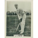 PHILLIPS, Cricketers (brown), large (63 x 83mm), Nos. 1, 2, 5 (2) & 12, all Australian, VG to EX,