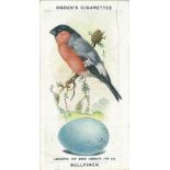 OGDENS, British Birds & Their Eggs, complete, VG to EX, 50