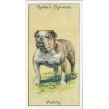 OGDENS, Dogs, complete, some a.c.m., G to EX, 50