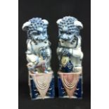 Porcelain blue and white foo dogs