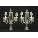 Pair of Crystal Candelabra