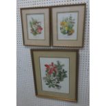 Dowden, "Plants of Christmas" & 2 "Mushrooms"